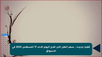 قفزة جديدة.. سعر الطن الآن للأرز اليوم الأحد 17 أغسطس 2025 في الأسواق